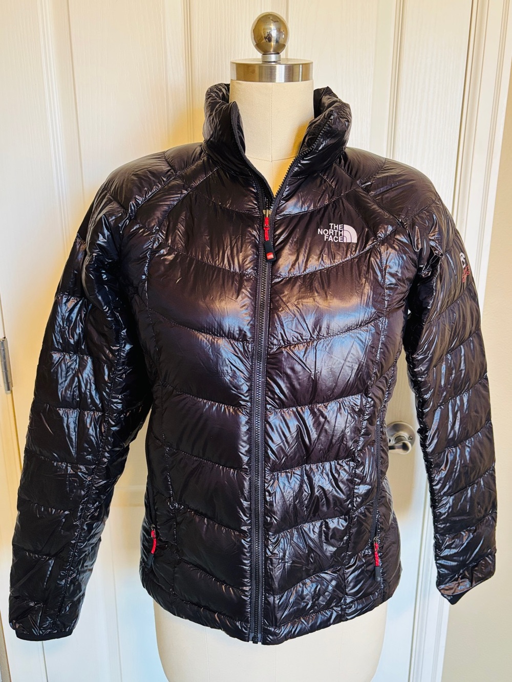The North Face Women’s Black Shiny Quilted Puffer Jacket